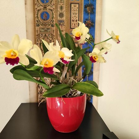 La Casa Nel Borgo Bed & Breakfast Piadena Luaran gambar