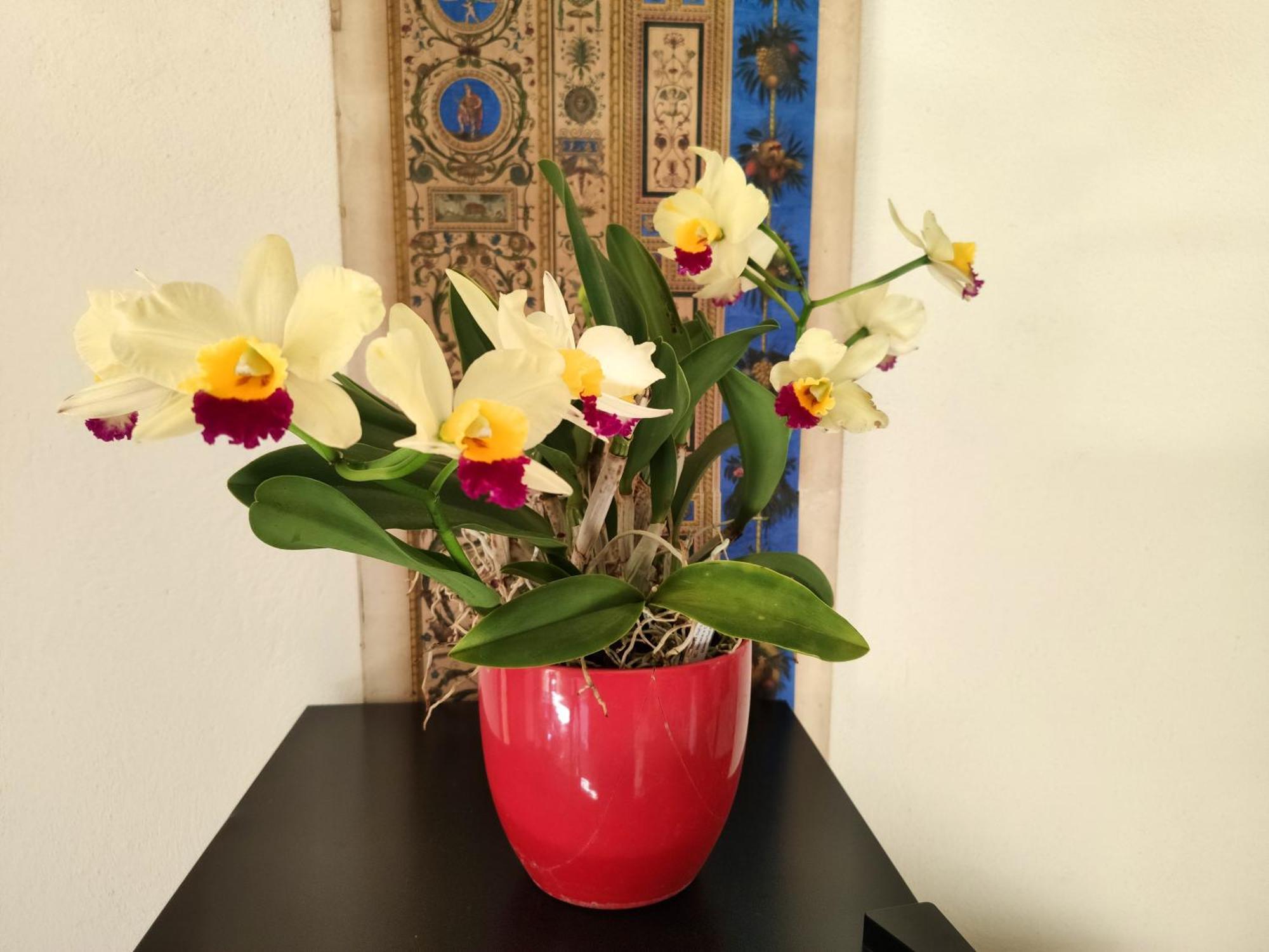 La Casa Nel Borgo Bed & Breakfast Piadena Luaran gambar